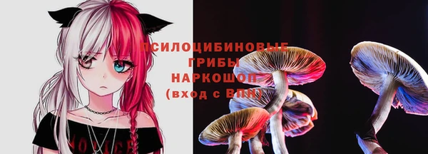 прущие грибы Алексеевка